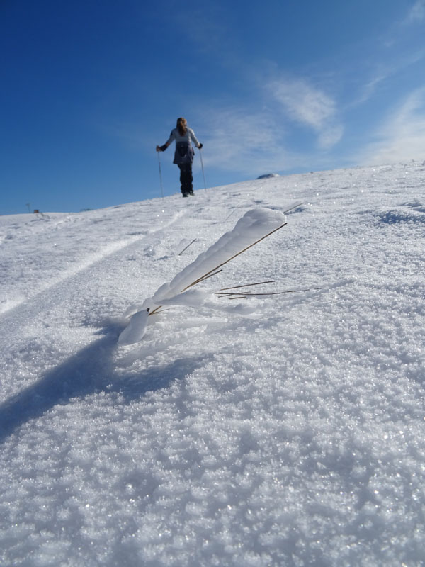 prime escursioni sulla neve....autunno  2019